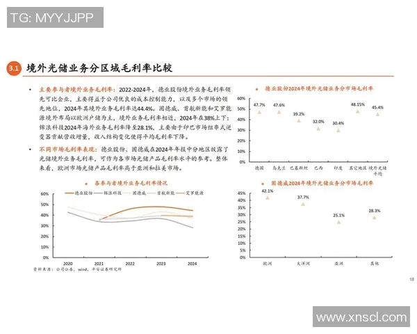新兴市场的增长潜力与面临的挑战分析与应对策略探讨